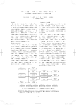 サツマイモ品種「ハイスターチ」のサツマイモ