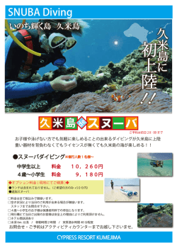 ダイビングよりも簡単！スヌーバで海底散策はいかが？