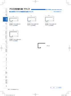 部分が塗装面です。 www.sato