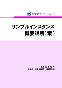 サンプルインスタンス概要説明（案）（PDF:361KB）