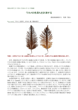 ワカメの色落ちを計測する