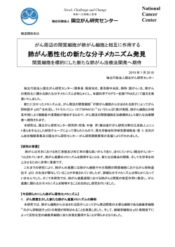 肺がん悪性化の新たな分子メカニズム発見（PDF）