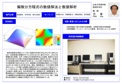 偏微分方程式の数値解法と数値解析 方 青