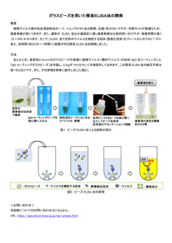 ガラスビーズを用いた簡易ELISA法の開発