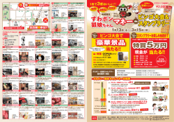 すわポン・狐娘ちゃんマネー詳細PDF