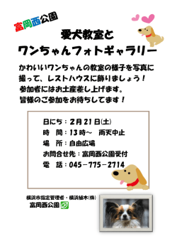 愛犬教室と ワンちゃんフォトギャラリー