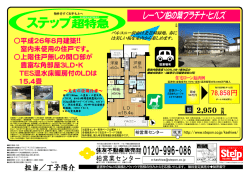 今週の新聞折込チラシです