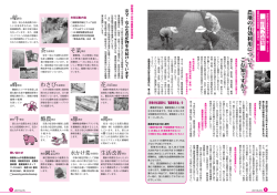 御殿場小山中核農業者協議会 安全・安心な農産物をお届けし