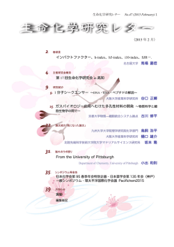 PDF file - Tohoku University