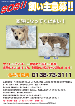 北斗市役所 0138-73-3111 北斗市役所 家族になって