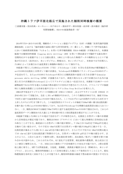 沖縄トラフ伊平屋北海丘で実施された掘削同時検層の概要