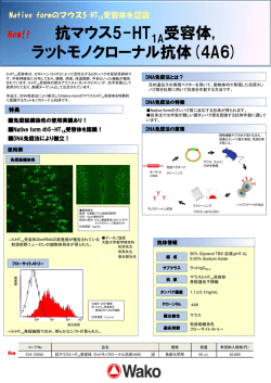 抗マウス5-HT1A受容体, ラットモノクローナル抗体(4A6)