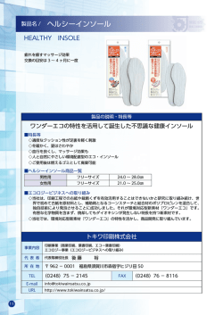 11 ヘルシーインソール