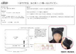 1 玉でできる ねこ耳ニット帽