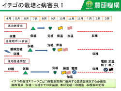イチゴの栽培と病害虫Ⅰ
