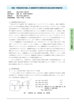 表面・界面効果を考慮した溶融燃料中の揮発性核分裂生成物の挙動評価