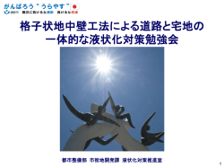 格子状地中壁工法による道路と宅地の一体的な液状化対策