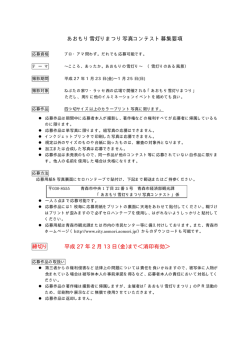 あおもり雪灯りまつり写真コンテスト募集要項（PDF：28KB）