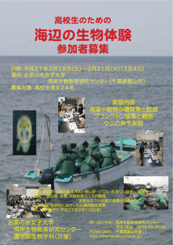 実習内容 海藻や動物の磯採集と観察 プランクトン採集と観察 ウニの
