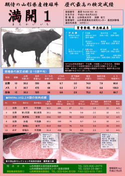 山形県産種雄牛満開1プロフィール
