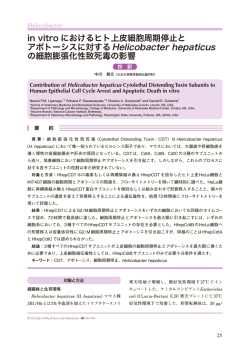 日本語抄訳内容はこちら