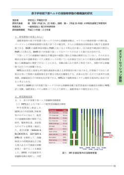 原子炉容器下部ヘッドの溶融物挙動の機構論的研究 (PDF:7327KB)