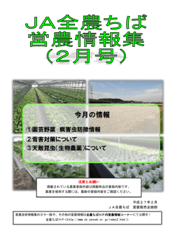 （2月号）