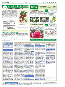 6面（PDF：1568KB）