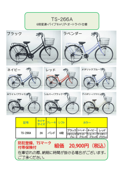 TS-266A 組価 20,900円（税込）