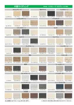 外壁プレゼン (PDF: 480KB)