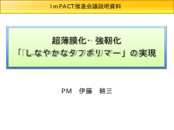 伊藤PM（PDF形式：620KB）
