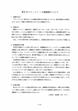 夏まきブロッコ リ ~の播種期について