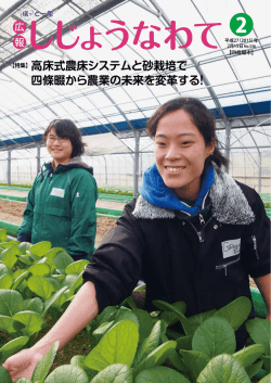 高床式農床システムと砂栽培で 四條畷から農業の未来を