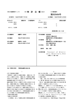 特許番号第2628404号
