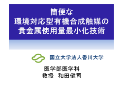 当日配布資料（700KB）