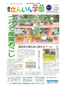 緑化材や園芸用に静かなブーム