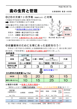 Taro-H27.2.5 生育と管理