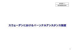 参考資料3 野沢座長提出資料（PDF：247KB）