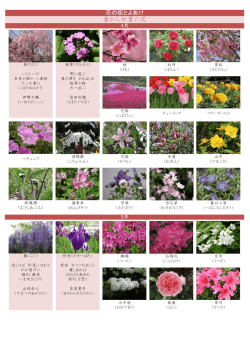 季節の花 - 豊明市商工会