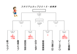 スタジアムカップ2015・結果表