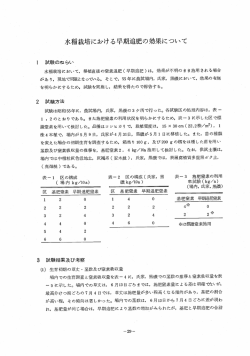 水稲栽培における早期追肥の効果について