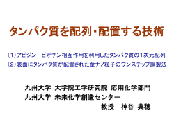 タンパク質を配列・配置する技術