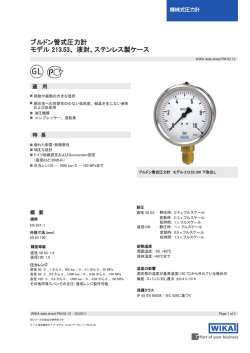 ブルドン管式圧力計 モデル 213.53、 液封、ステンレス製ケース