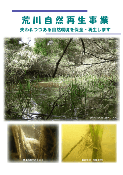 荒川自然再生事業 - 国土交通省北陸地方整備局