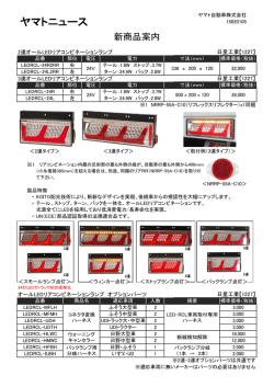 LEDRCL-### [ LEDリアコンビネーションランプ ]
