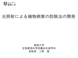 PowerPoint プレゼンテーション