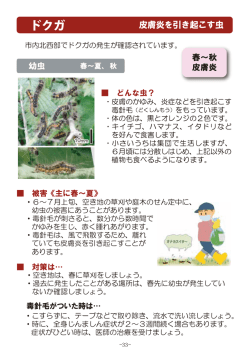 ダウンロード8（PDF：1318KB）