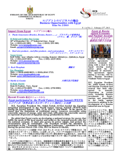 エジプトとのビジネス機会No.2