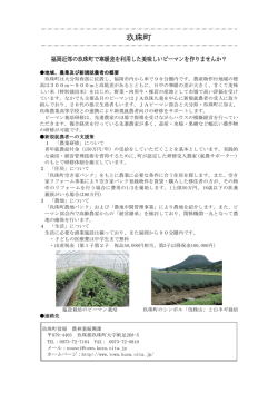 玖珠町（ピーマン） [PDFファイル／126KB]