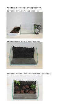 次に水槽を使ったコケテラリウムの作り方をご紹介します。 準備するもの